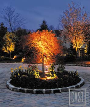 Affordable Landscape Lighting